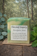 Eucalyptus Mint